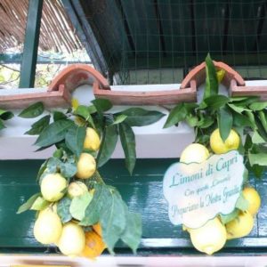 bonnes adresses capri le colibry blog lifestyle