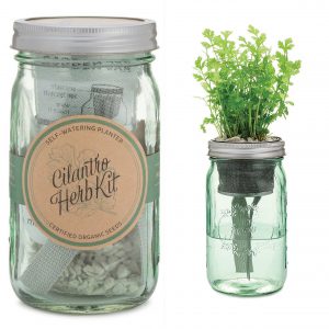 cilantro-herb-kit-2