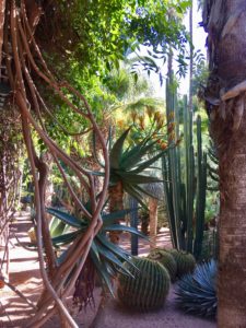 jardins Majorelle retraite yoga marrakech