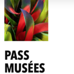 museum pass blog geneva good deals