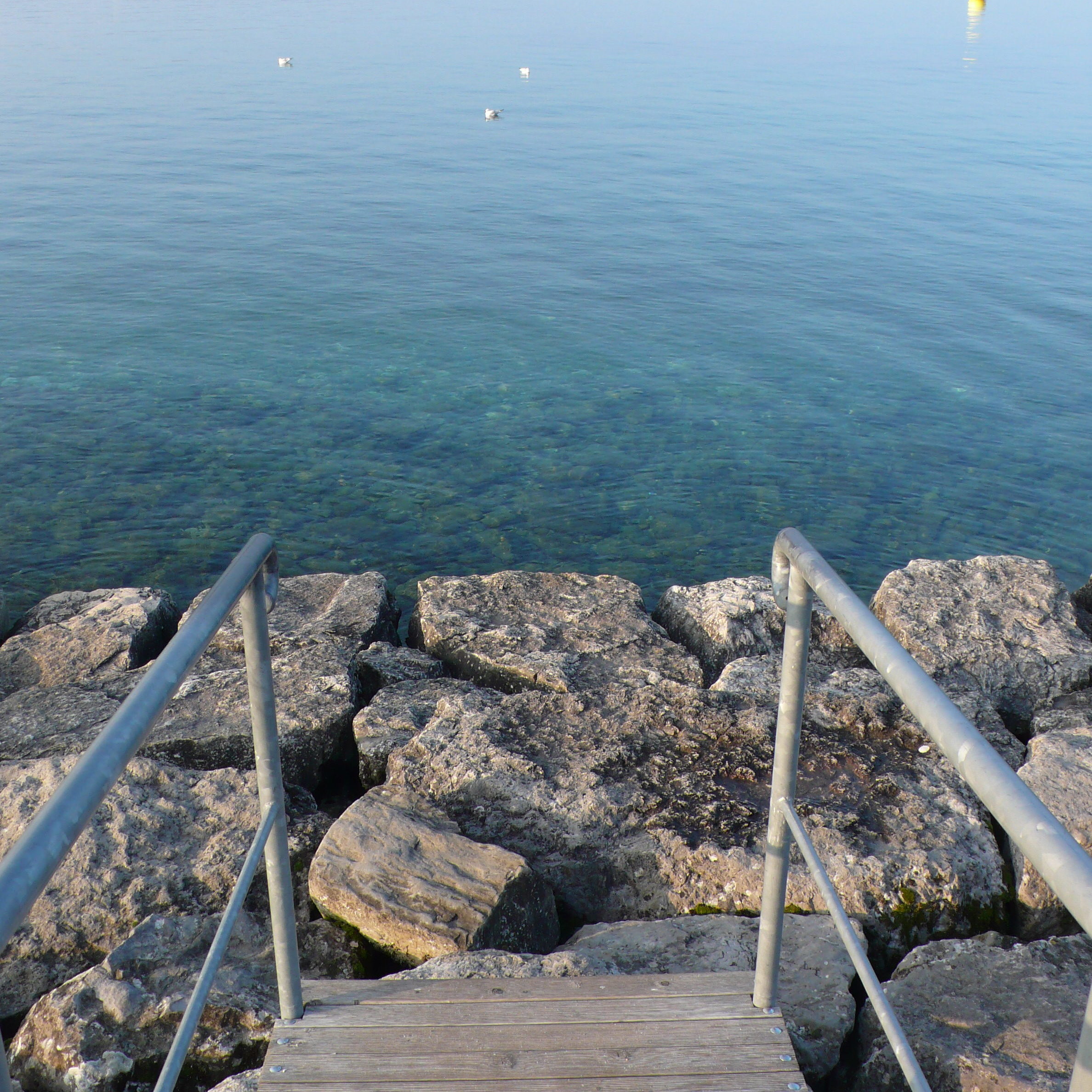 plage geneve