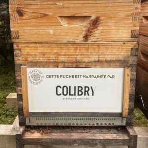 parrainage ruche colibry stéphanie ravillon Paris geneve blog lifestyle