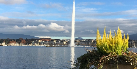 geneve activité printemps blog le colibry