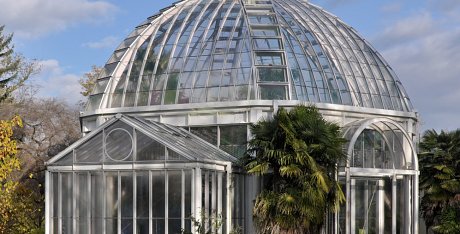 Serre jardin botanique activités geneve blog
