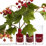 vernis ecologique kure bazaar geneve Fall 2018