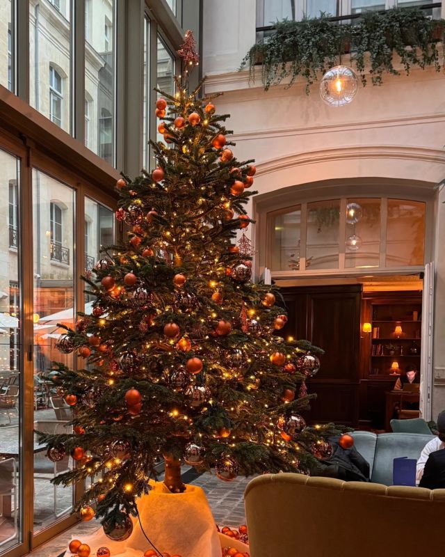 || JOYEUX NOËL ✨|| I wish you all a joyful and peaceful end of the year. Merry Christmas 🎄💫
#StéphanieCabanisRavillon  #Colibry #Confidences #Parisienne
#bonnesadresses #paris #christmas  #parisianstyle #inspirations #paris #bloglifestyle #parislovers  #parissecret  #myparis #parismaville #microinfluencer 
⁠#parisianlife #inspiration #neverstopexploring  #bloglifestyle
#parissecret #terrasseparis
#cafeparis